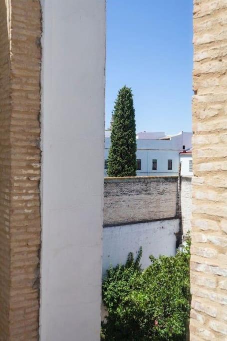 Precioso - Localizacion Perfecta **wifi - A/c** Appartement *